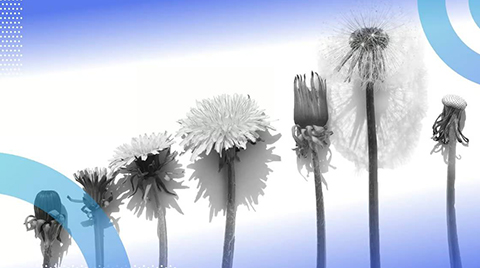 What Are the 3 Stages of the Data Life Cycle?