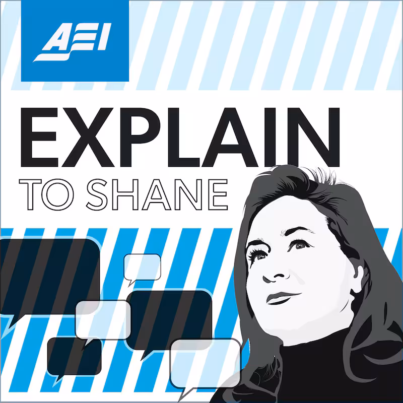 Unpacking the Data Dilemma: Explain to Shane Podcast